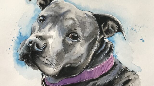 002A043E-0990-4F68-AD65-101743458521