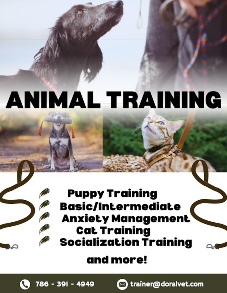 Screenshot-2024-09-06-at-4.38.44-PM